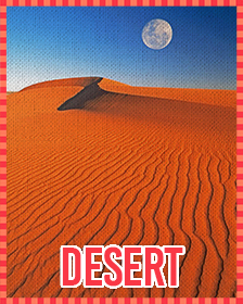 Desert