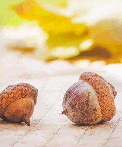 Acorn Food Diamond Painting