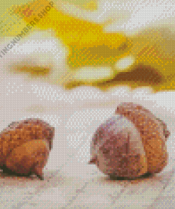 Acorn Food Diamond Painting