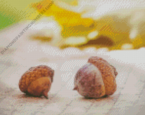 Acorn Food Diamond Painting