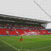 Ashton Gate Stadium Diamond Painting