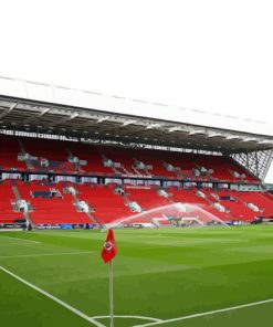 Ashton Gate Stadium Diamond Painting