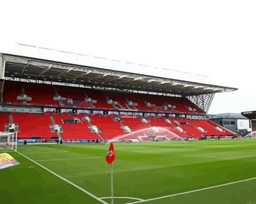 Ashton Gate Stadium Diamond Painting