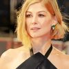 Classy Rosamund Pike Diamond Painting