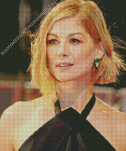 Classy Rosamund Pike Diamond Painting