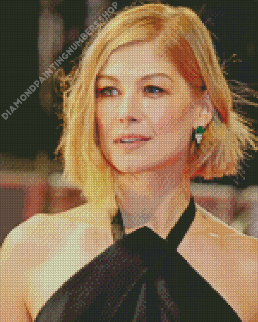 Classy Rosamund Pike Diamond Painting