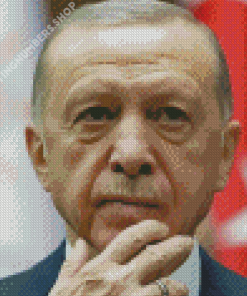 Erdogan Turkey President Diamond Painting