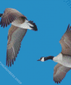 Flying Goose Diamond Painting