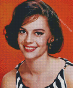 Natalie Wood Diamond Painting