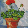 Red Geranium In Plant Pot Diamond Painting