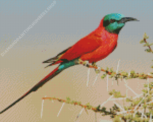 Southern Carmine Bee Eater Diamond Painting