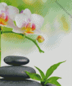 Stones And Flowers Diamond Painting