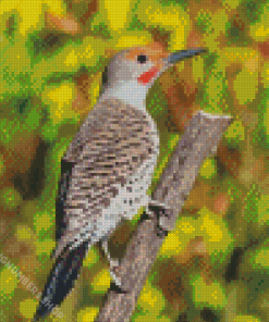 Adorable Northern Flicker Diamond Painting