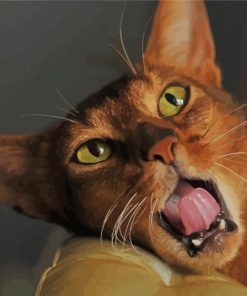 Aesthetic Abyssinian Cat Diamond Painting