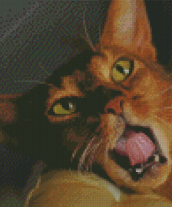 Aesthetic Abyssinian Cat Diamond Painting