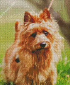 Australian Terrier Dog Diamond Painting