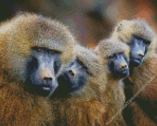 Baboons Family Diamond Painting