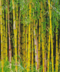 Bamboo Plants Diamond Painting