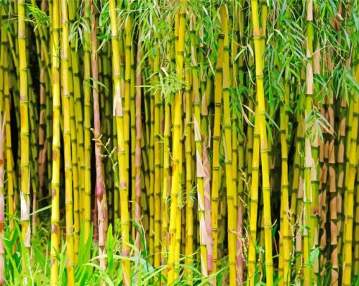 Bamboo Plants Diamond Painting