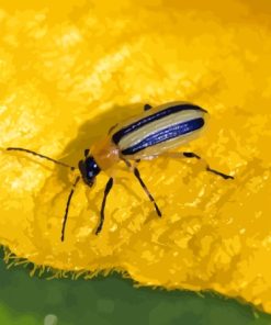 Beetle Bug On Yellow Leaf Diamond Painting