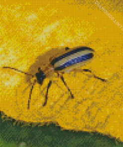 Beetle Bug On Yellow Leaf Diamond Painting