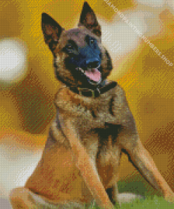 Belgian Malinois Diamond Painting