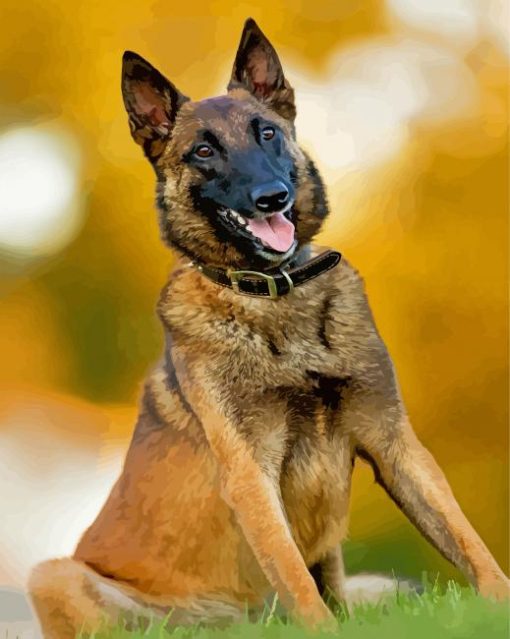 Belgian Malinois Diamond Painting