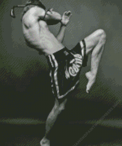 Black And White Kick Boxing Player Diamond Painting