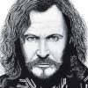 Black And White Sirius Black Diamond Painting