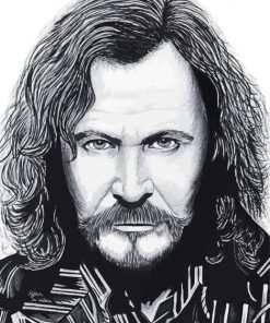 Black And White Sirius Black Diamond Painting