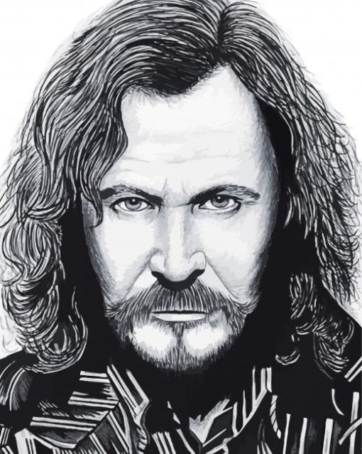 Black And White Sirius Black Diamond Painting