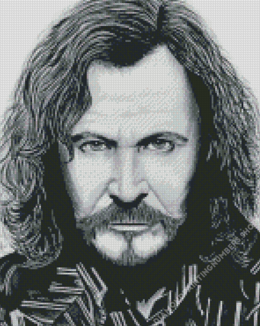 Black And White Sirius Black Diamond Painting