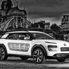 Black And White Citroen Cactus Diamond Painting