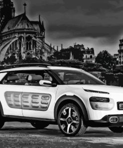 Black And White Citroen Cactus Diamond Painting