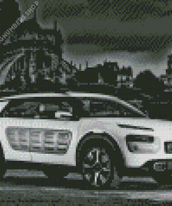 Black And White Citroen Cactus Diamond Painting