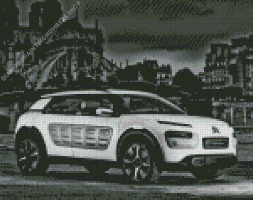 Black And White Citroen Cactus Diamond Painting