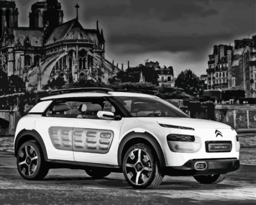 Black And White Citroen Cactus Diamond Painting