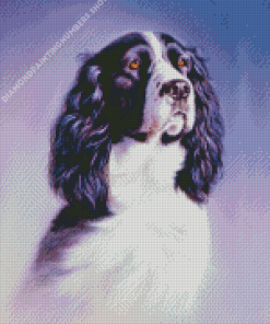 Black And White Spaniel Art Diamond Painting