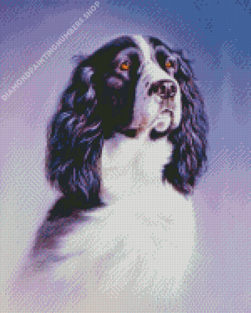 Black And White Spaniel Art Diamond Painting