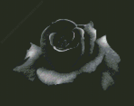 Black Floral Rose Diamond Painting