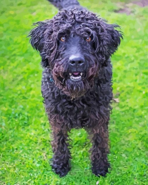 Black Labradoodle Dog Diamond Painting