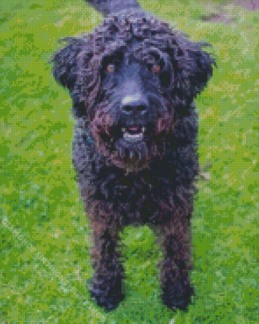 Black Labradoodle Dog Diamond Painting