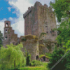 Blarney Town Castle Diamond Painting