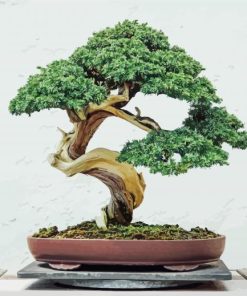 Bonsai Tree Diamond Painting