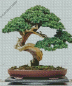 Bonsai Tree Diamond Painting