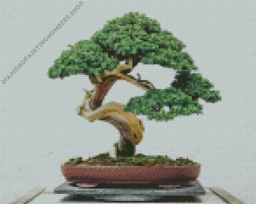 Bonsai Tree Diamond Painting