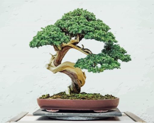 Bonsai Tree Diamond Painting