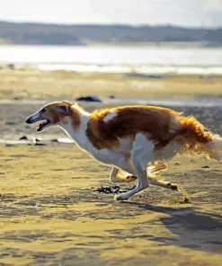 Borzoi Dog Diamond Painting