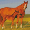 Brown Horse And Colt Diamond Painting