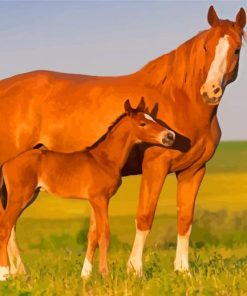 Brown Horse And Colt Diamond Painting